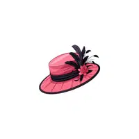 Women's Clothes and Accessories Names |Hat in English