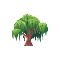 Types of Trees names |Willow in English