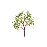 Types of Trees names |Lemon in English