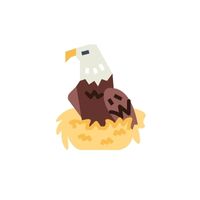 Eagle in English