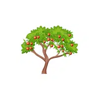 Types of Trees names | Peach in English
