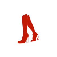 Women's Clothes and Accessories Names |Knee-high boots in English