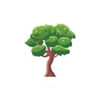 Types of Trees names |Elm in English