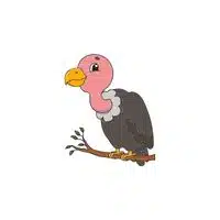 Vulture in English
