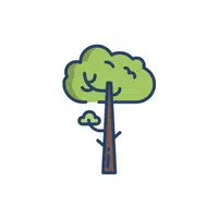 Types of Trees names |Teak tree in English