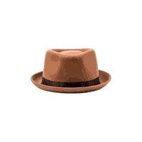 Hat styles names for Men |Pork pie in English