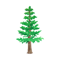 Types of Trees names |Cedar in English