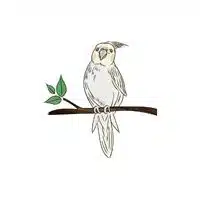 Homes of Animals |Cockatoo in English