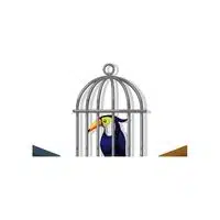 Homes of Animals |Toucan  in English