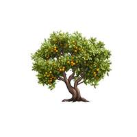 Types of Trees names |Orange in English