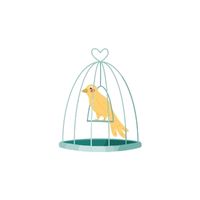 Homes of Animals |Canary in English