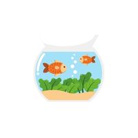 Goldfish in English