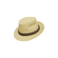 Hat styles names for Men |Fedora in English