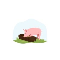 Homes of Animals |Pig in English