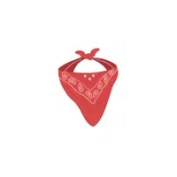 Bandana in English