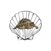 Homes of Animals |Tortoise in English