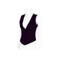 Vest in English