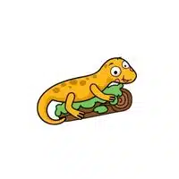 Homes of Animals |Salamander in English