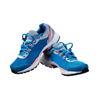 Formal shoes Names |Wholecut shoes in English