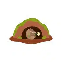 Porcupine in English