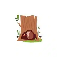 Homes of Animals |Squirrel in English