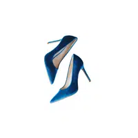 Party shoes names |Velvet heels in English