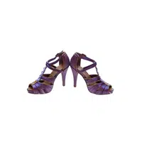 Party shoes names |Feathered heels in English