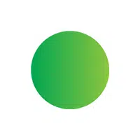 Colors Names Vocabulary |Royal Green in English