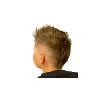 Mohawk in English
