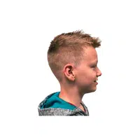 Faux Hawk in English
