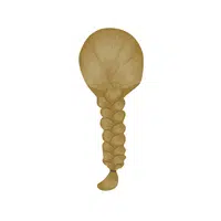 Haircut Names for Women |French Braid in English