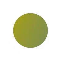Olive in English