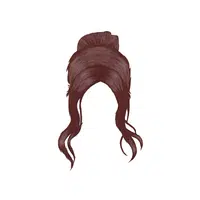 Sleek Bun in English