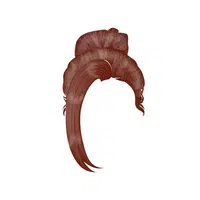 Ballerina Bun in English