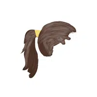 Haircut Names for Women |Bubble Ponytail in English