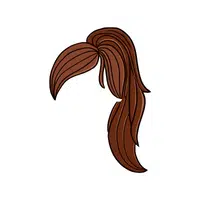 Haircut Names for Women |High Ponytail in English