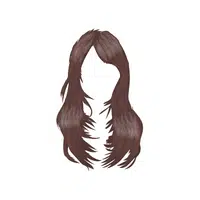 Haircut Names for Women |Feathered Cut in English