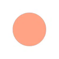 Colors Names Vocabulary |Salmon in English