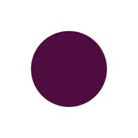Colors Names Vocabulary |Raisin in English