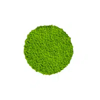 Colors Names Vocabulary |Moss in English