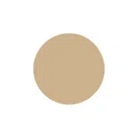 Colors Names Vocabulary |Tan in English