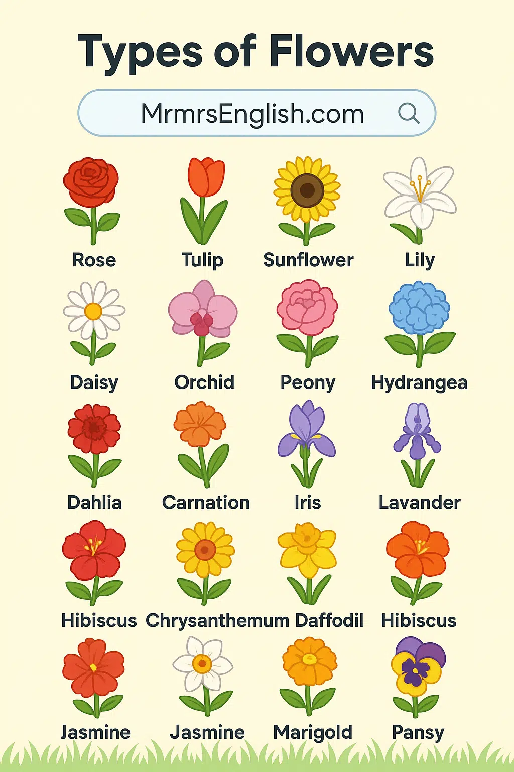Names of Flowers in English with Pictures