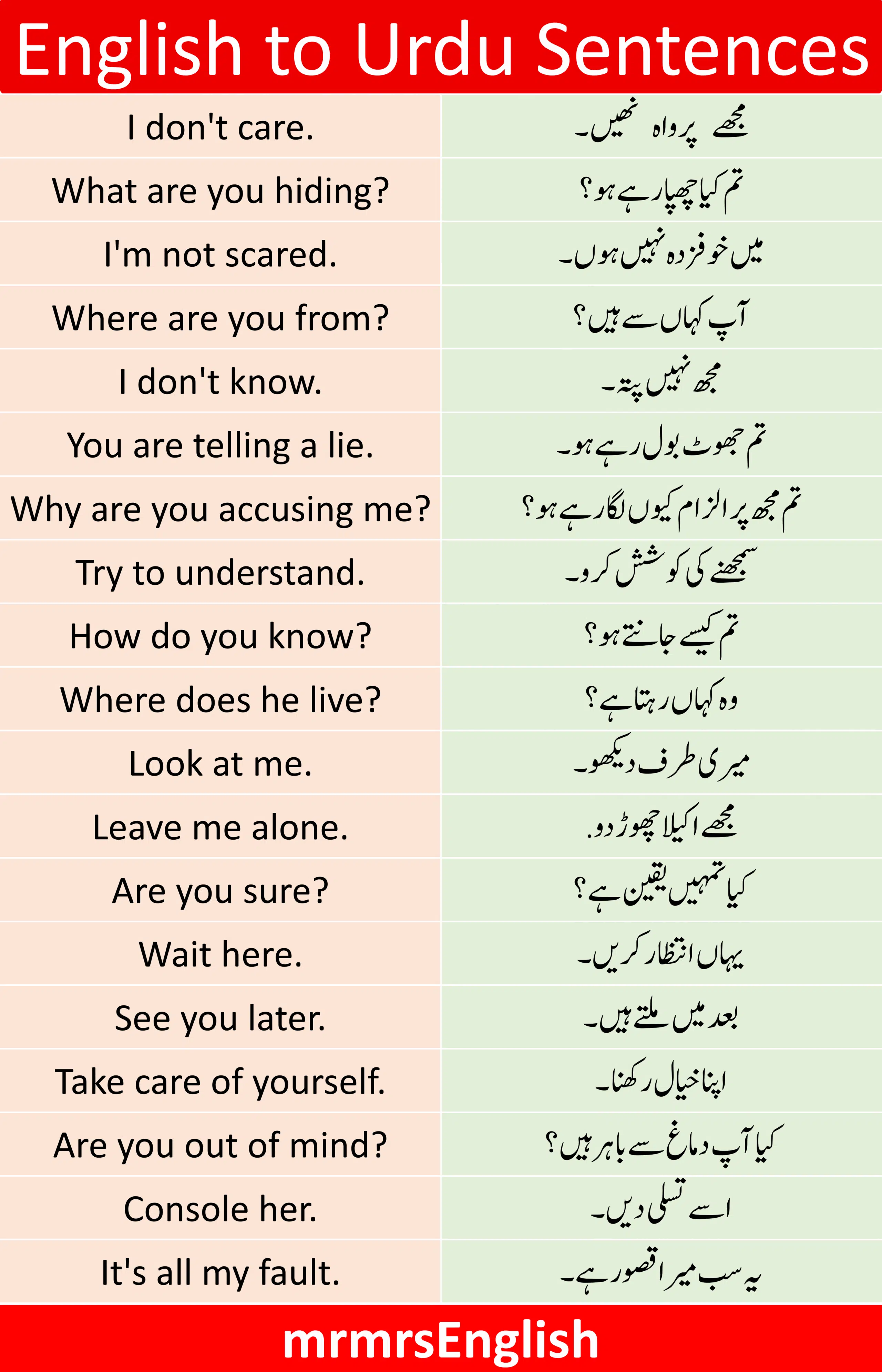 100+ English to Urdu Sentences