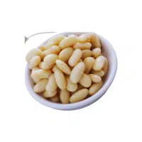 Beans Names |Cannellini Beans in English 