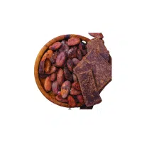 Beans Names |Kidney Beans in English 