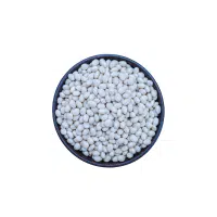 Navy Beans in English 