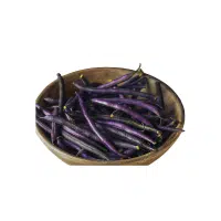 Purple String Beans in English 