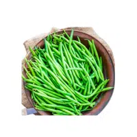 French Green Beans in English 