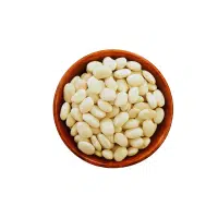 Beans Names |Great Northern Beans in English 