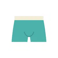 Men clothes and accessories names | Boxer briefs in English